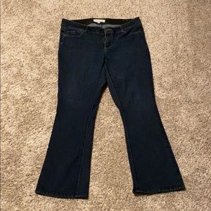 Democracy Artistan Crafted Jeans